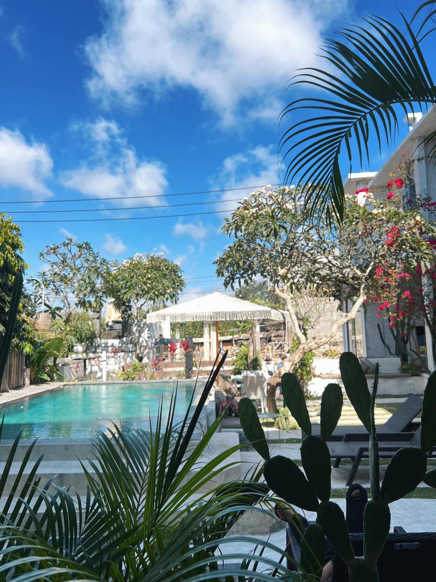 Guest house Bingin